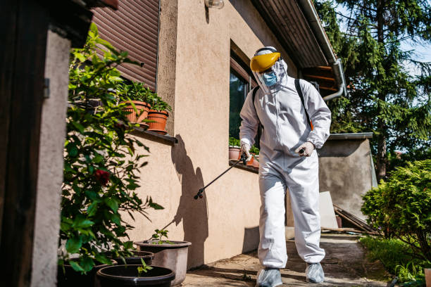 Spider Control Near Me in Woodland Hills, UT