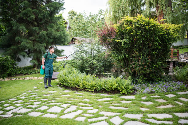Best Pest Control Near Me  in Woodland Hills, UT