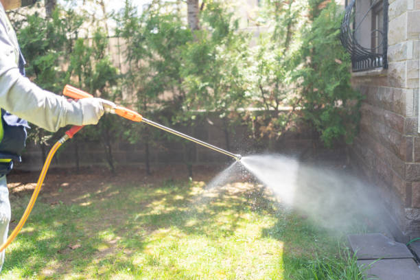 Best Mosquito Control Services  in Woodland Hills, UT