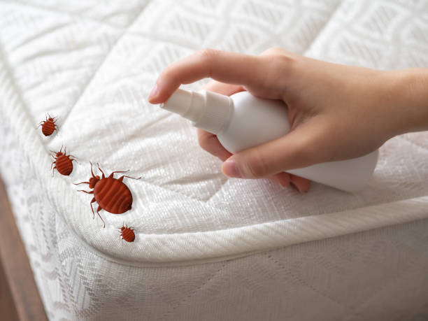 Best Pest Inspection Near Me  in Woodland Hills, UT