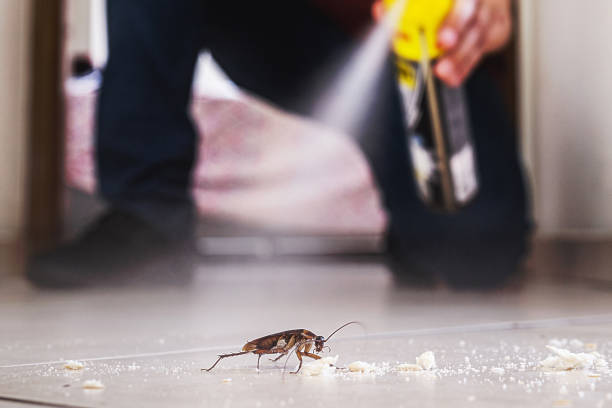 Best Mosquito Control Services  in Woodland Hills, UT