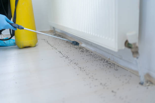 Trusted Woodland Hills, UT Pest Control Experts