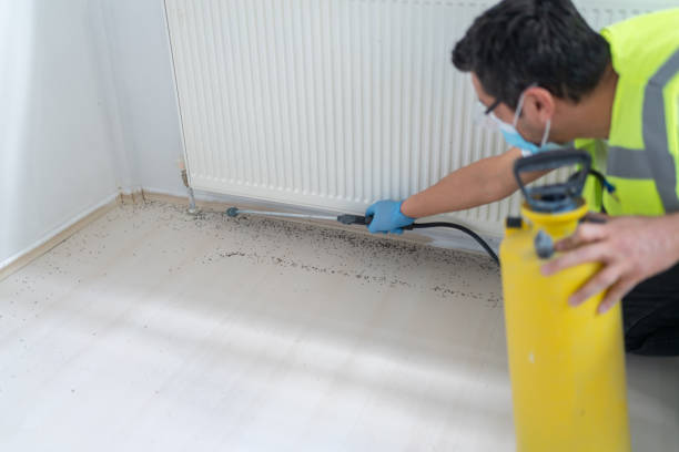 Best Pest Prevention Services  in Woodland Hills, UT