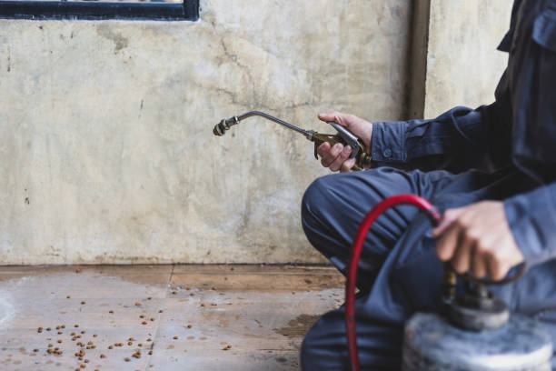 Best Affordable Pest Control Services  in Woodland Hills, UT